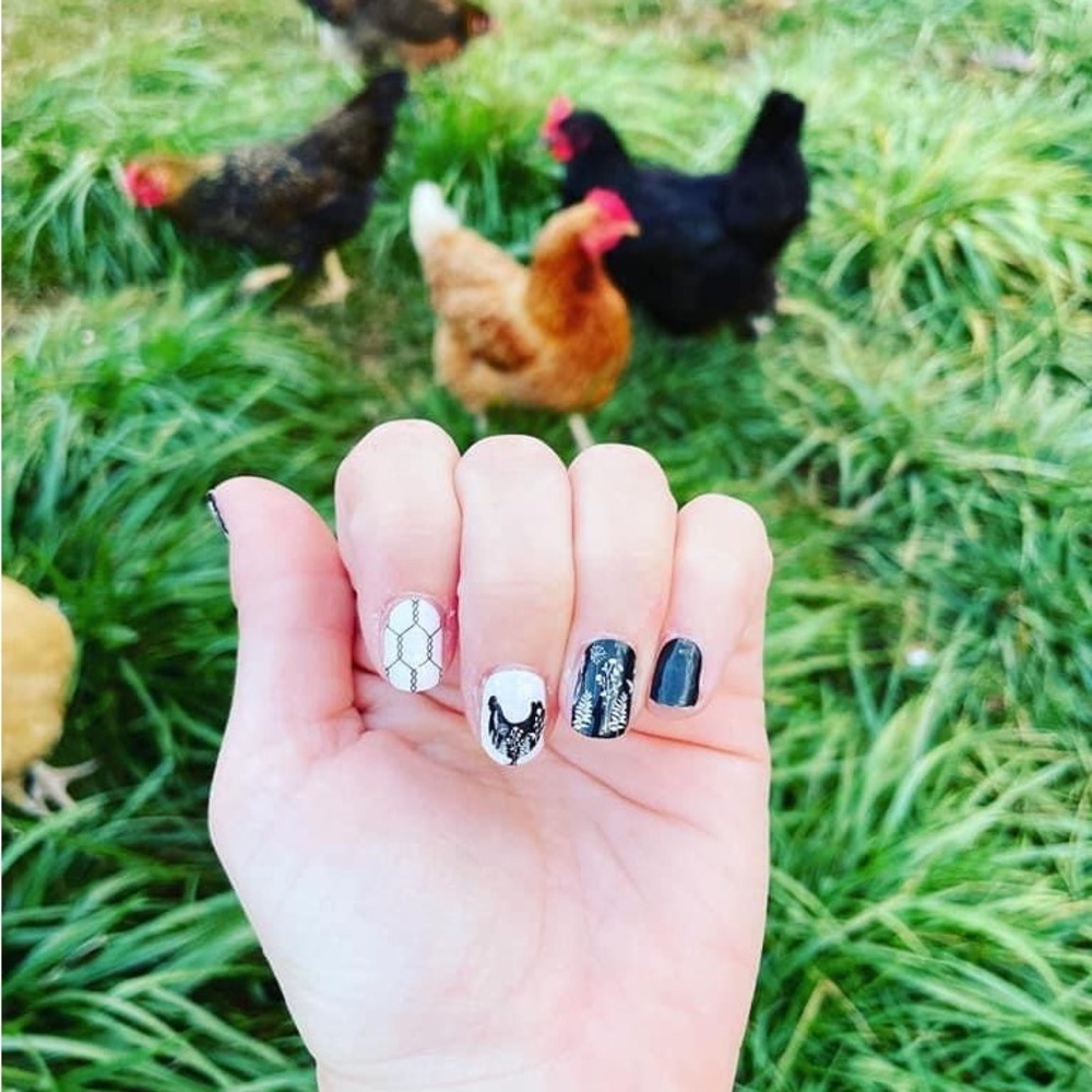 Black and white chicken farm nail wraps